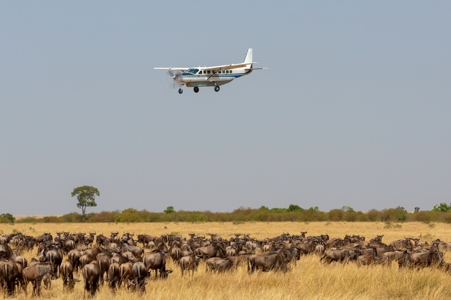 3 Days Masai Mara National Reserve Air Safari