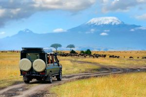 6 Days Masai Mara & Rift Valley Lakes - Nakuru, Bogoria & Naivasha