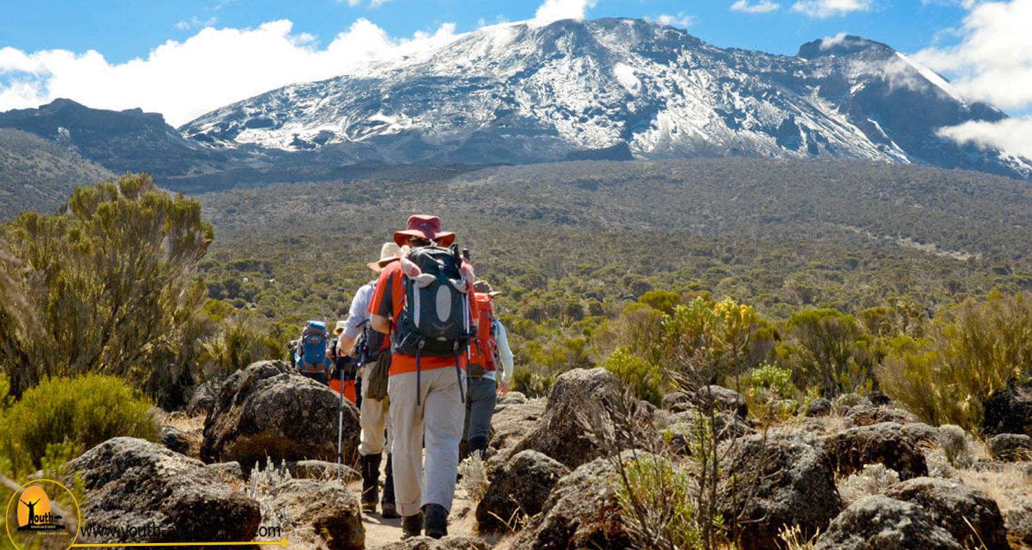 8 Days Mt Kilimanjaro Climbing: Lemosho Route