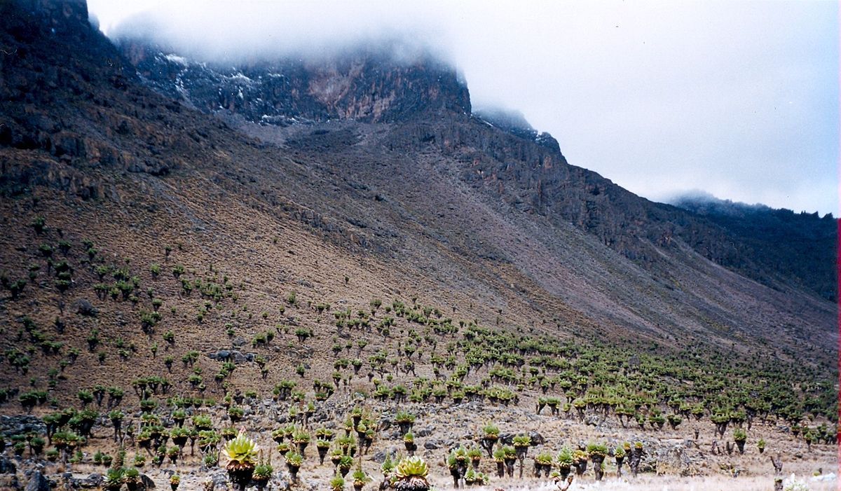 4 Days Mt Kenya Trekking: Sirimon – Chogoria Route