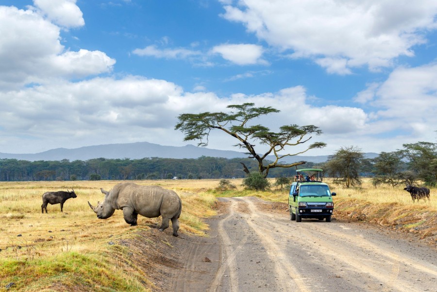 Lake Nakuru National Park Day Tour